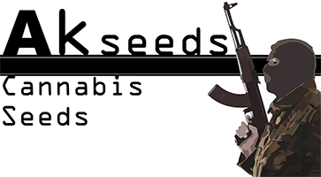 Nasiona Marihuany, Konopi – Akseeds.pl