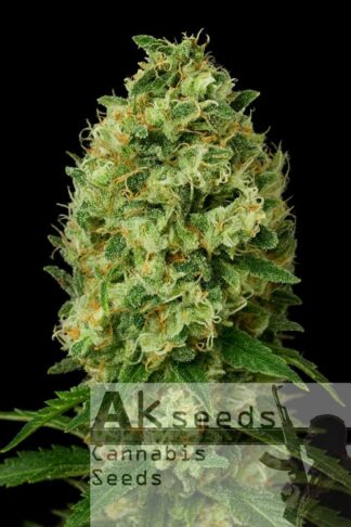 Ak472 Autoflow