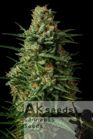 Speed Gorilla Glue Autoflow