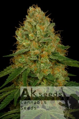 Strong Berry Autoflow
